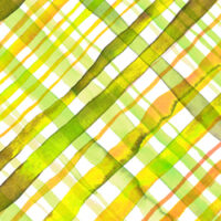 025697 Check (チェック柄)