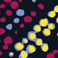 034013 Dot (ドット柄)